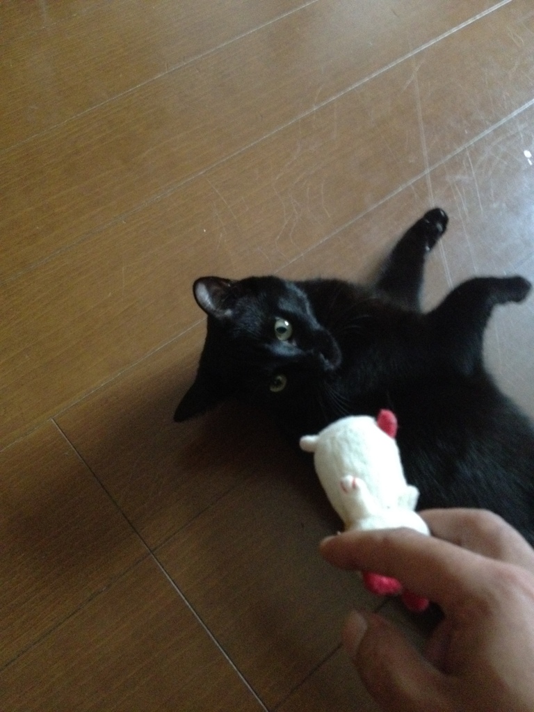 おっ！！！