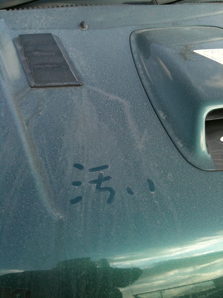 洗って・・・・