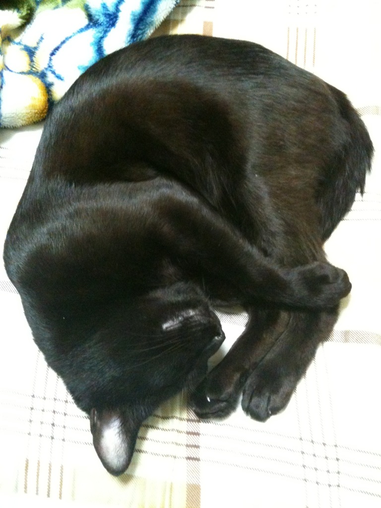 お辞儀