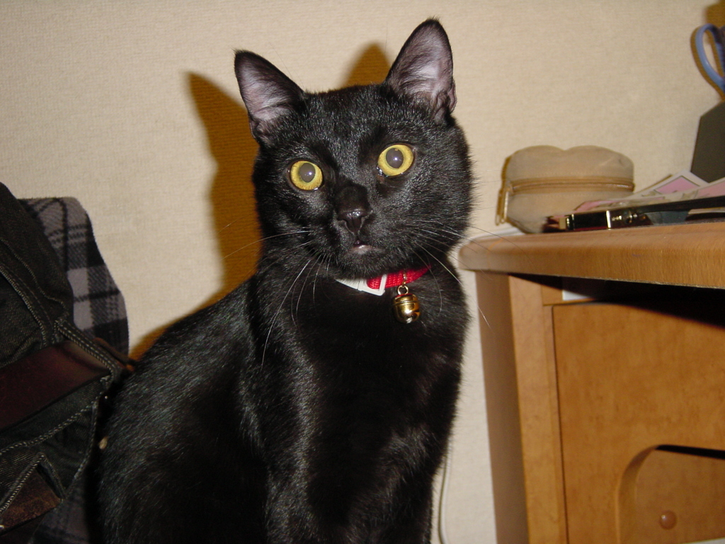 DSC00001