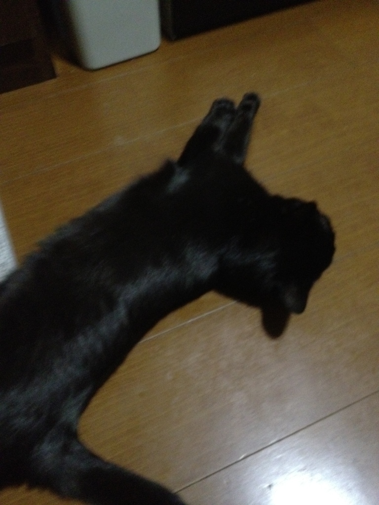 ぐてっ