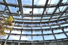 skyroof