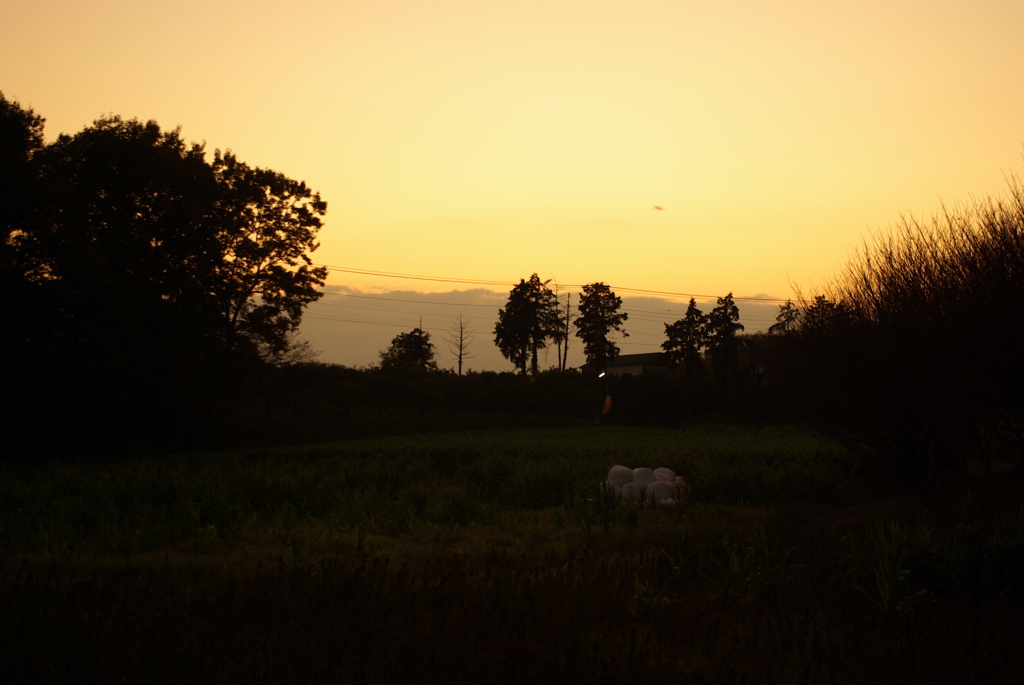 夕暮れ