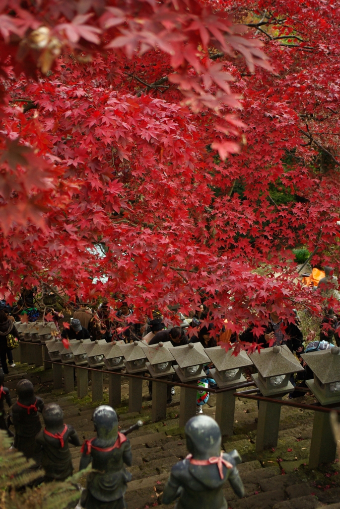 大山の紅葉