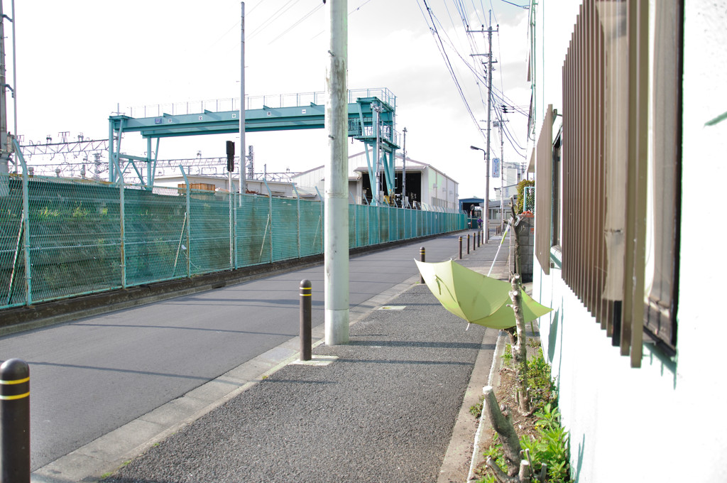 昨日の夜は雨だった