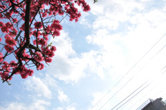 4月の空