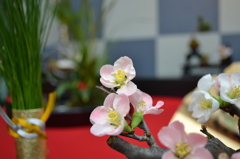 お花