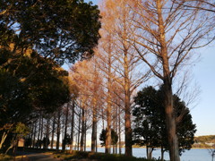 夕暮れ時の湖