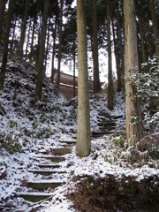 雪その２
