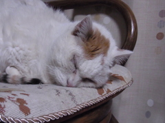 おばあさま