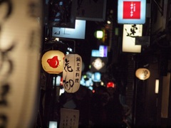 京都　夜の先斗町