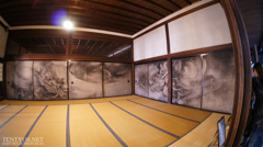 襖絵 雲竜図
