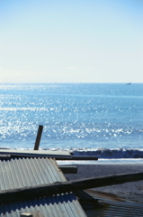 海