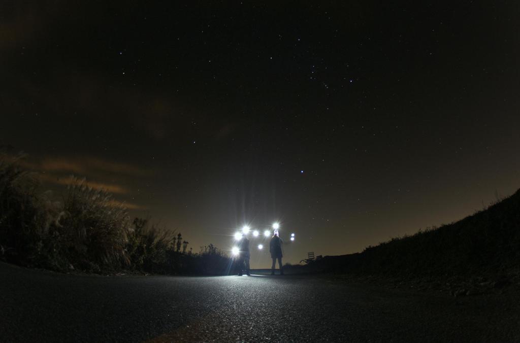 夜　光遊び