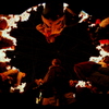 2011ルミナリエ神戸
