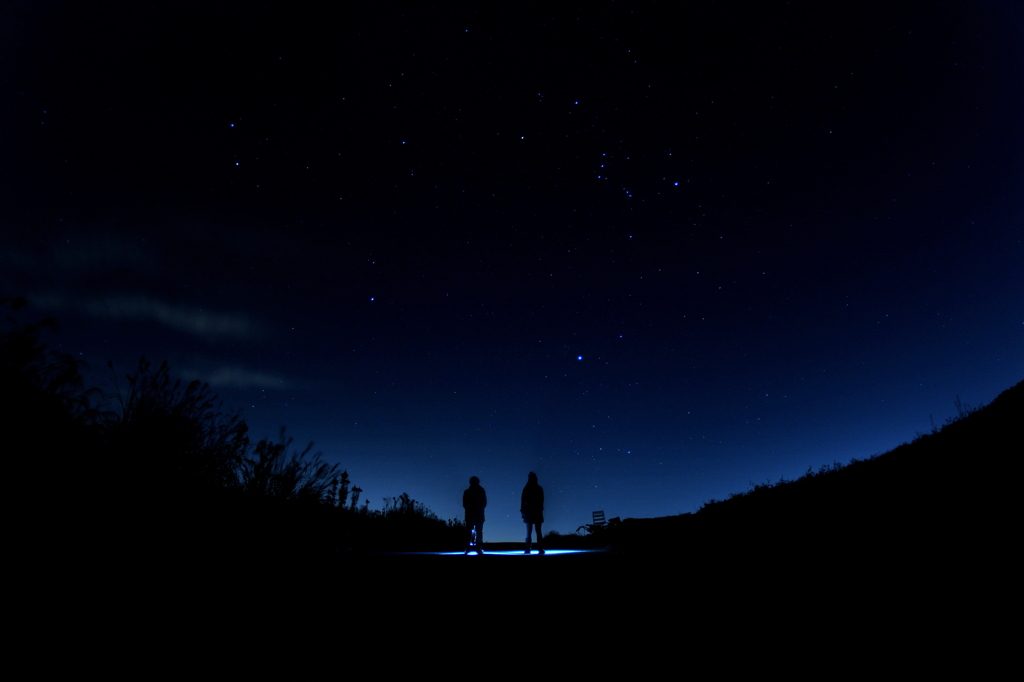 夜の散歩