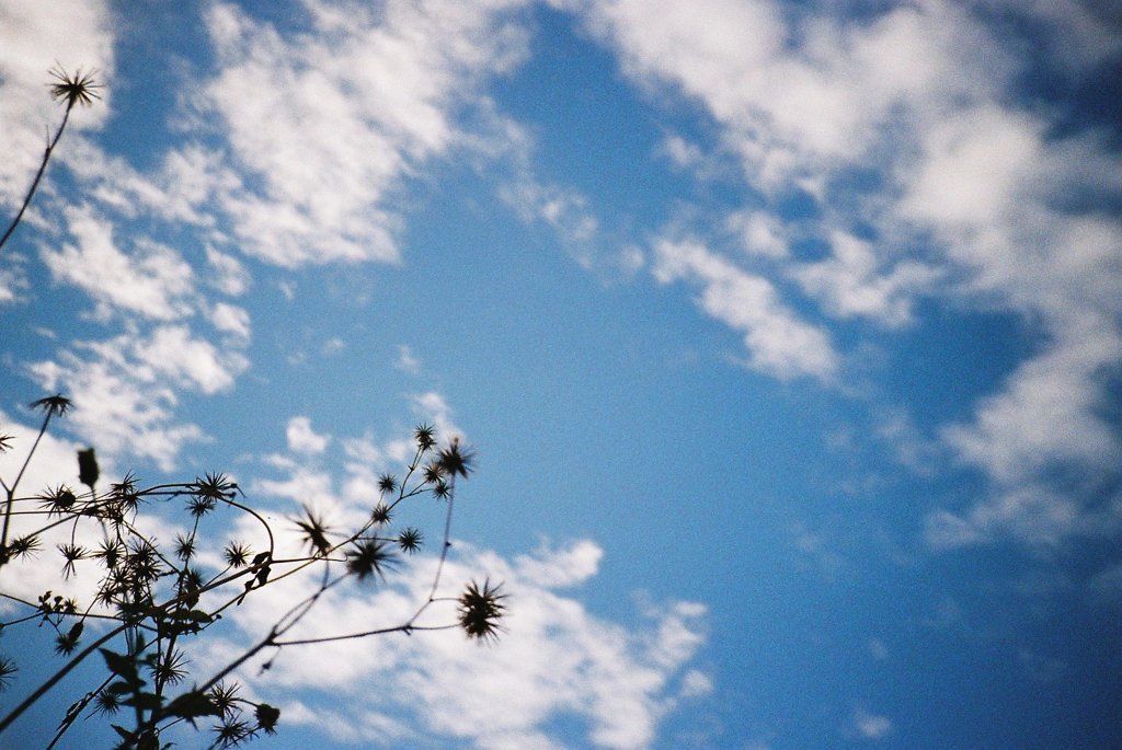 空へ