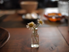 20100529_23