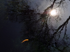 水鏡