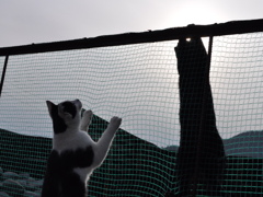 頑張れ！ニッポン！