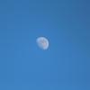 青空と月