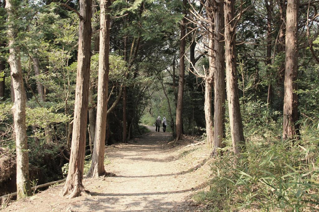 帰り道