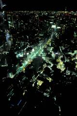 ヒルズの上から