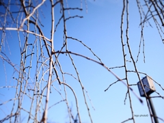 P2210361r