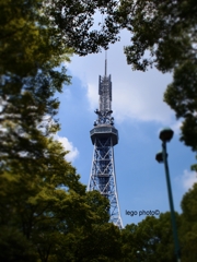 P8080037-2