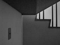 IMG_2731