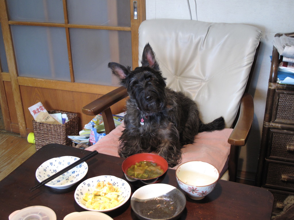 ん？