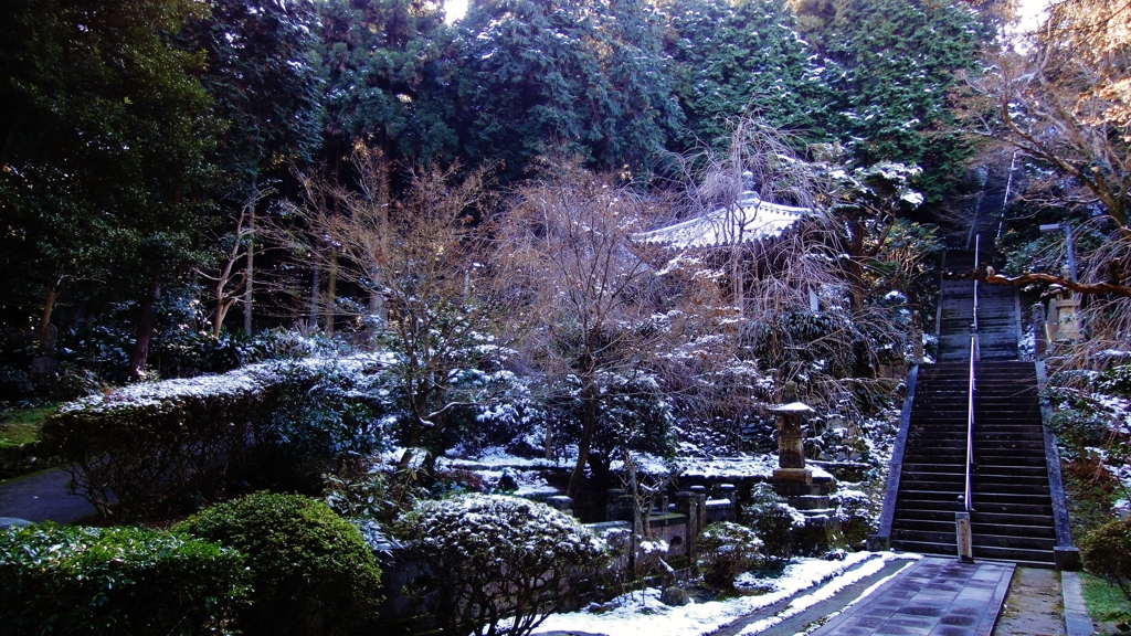 雪化粧した新長谷寺