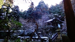 雪化粧した新長谷寺