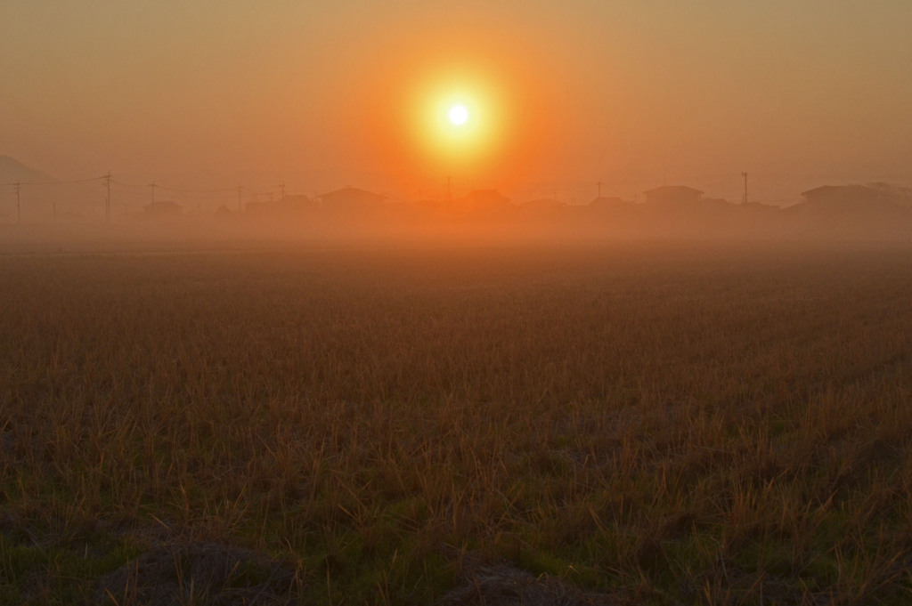 霧の朝