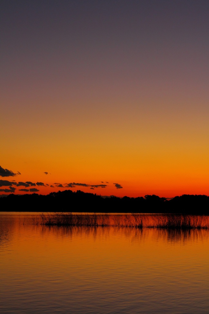 冬の夕日
