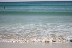 winter the sea