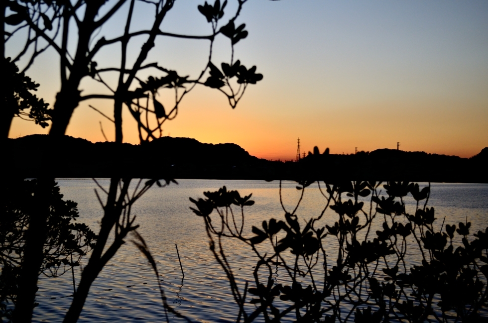 浜名湖夕日