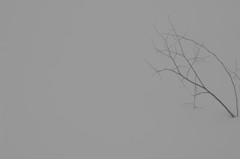雪景色