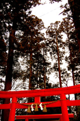 高瀬