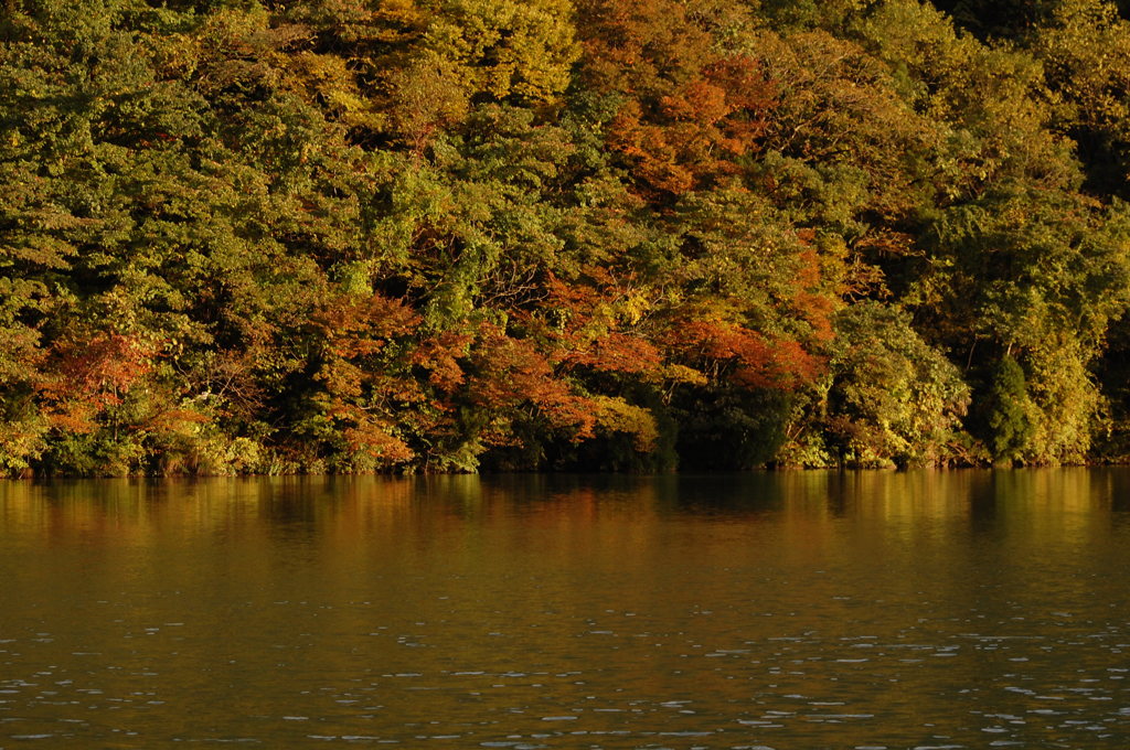 庄川峡の秋