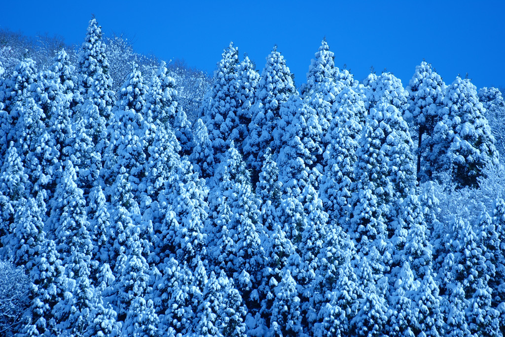 雪山