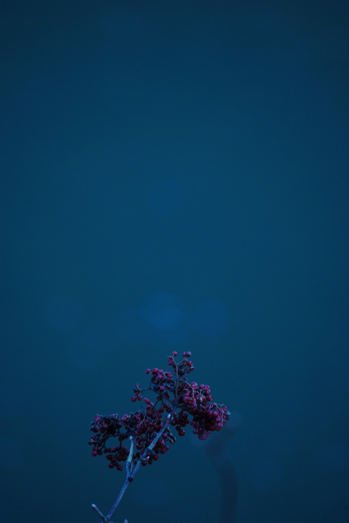 青