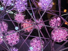 DSCF0083