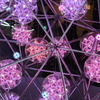 DSCF0083