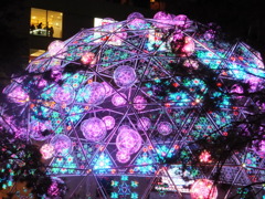 DSCF0091