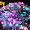 DSCF0091