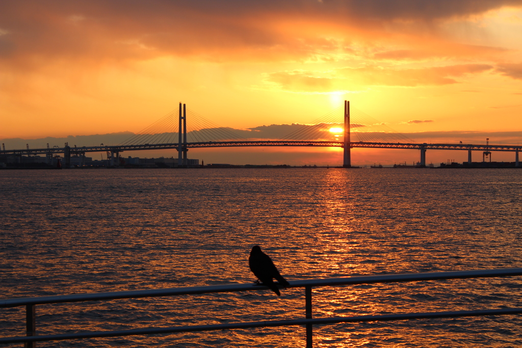 横浜　臨港パークの朝焼け