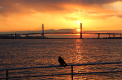 横浜　臨港パークの朝焼け