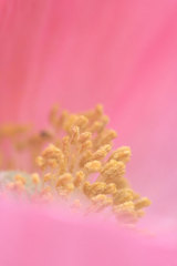 待ちわびて