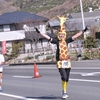 キリン　ランナー